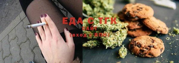 индика Заволжье
