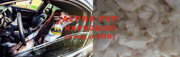индика Заволжье