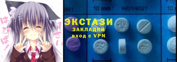 индика Заволжье