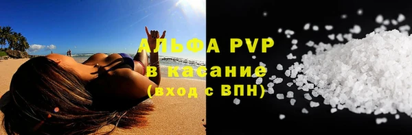 индика Заволжье