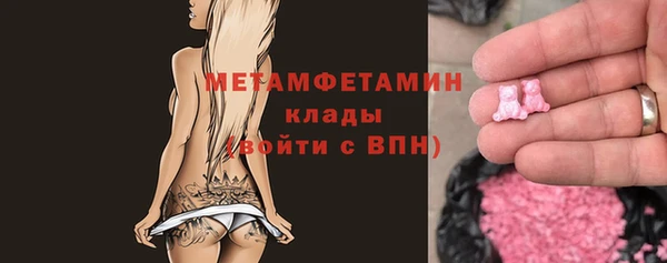индика Заволжье