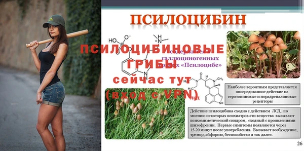 ешки Заволжск