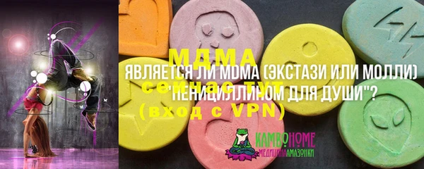 индика Заволжье