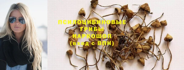индика Заволжье