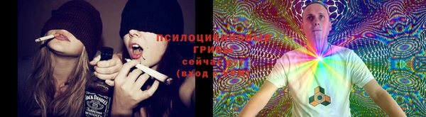 ешки Заволжск