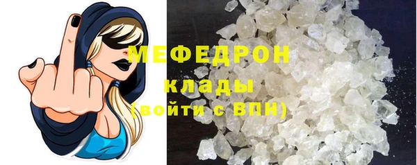 индика Заволжье