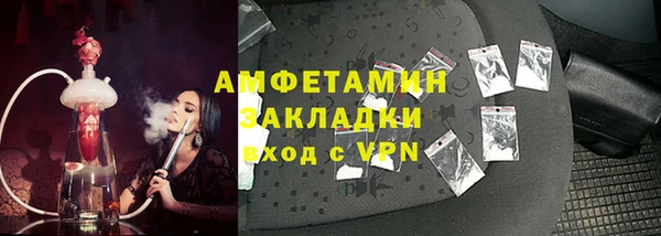 индика Заволжье